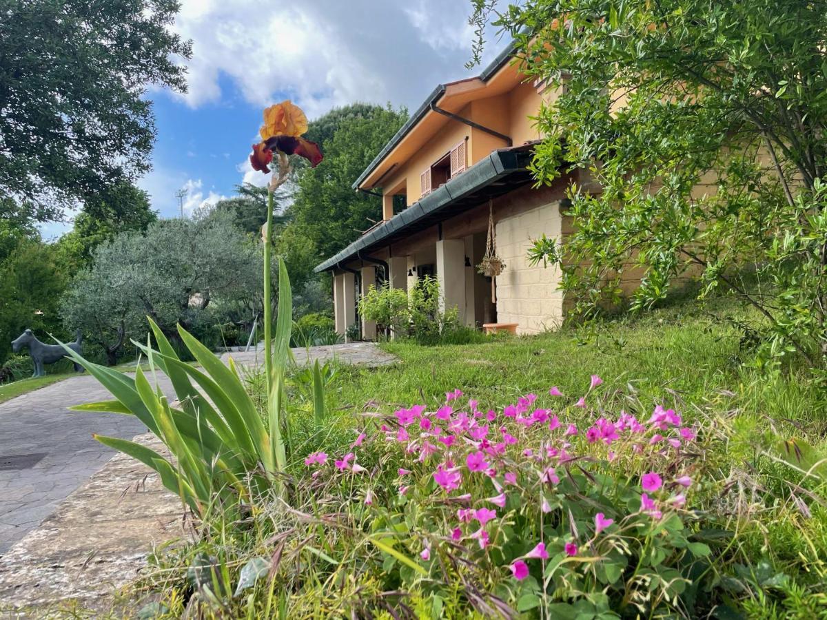Botanea Guest House Fonte Nuova Dış mekan fotoğraf
